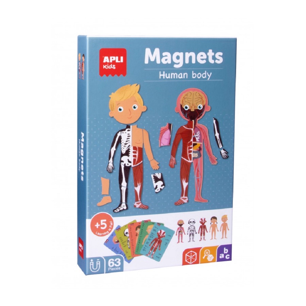 Društvena igra Apli magnets ljudsko tijelo 18531